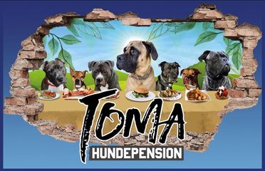 ToMa auf Facebook Hundepension ToMa