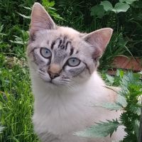 Milly
